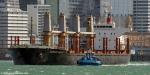 ID 14103 Danship Bulker